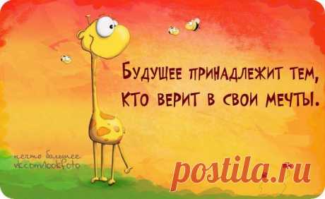 Мерь в мечту