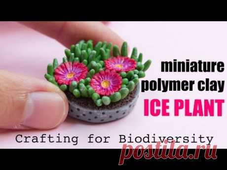 Ice Plant Carpobrotus edulis // Invasive Crafted Species