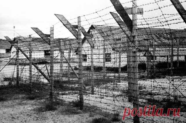 Концлагеря Маннергейма. Как финны уничтожали русских в захваченной Карелии ​Финны бросали женщин и детей в концлагеря за то, что они русские. Тысячи из них погибли от голода, болезней и тяжелого труда. Однако Финляндия не считает это военным преступлением.