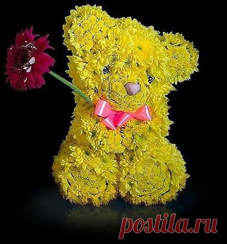 (21) Одноклассники