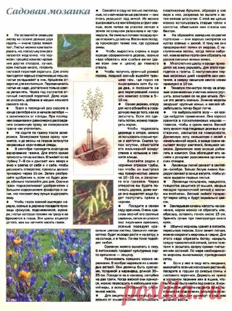 Садовая мозаика (советы дачникам)