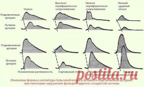 Наше здоровье Будьте здоровы вместе с нами