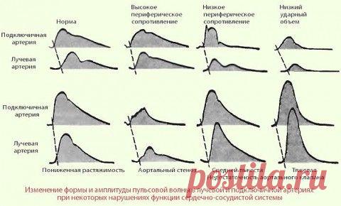 Наше здоровье Будьте здоровы вместе с нами
