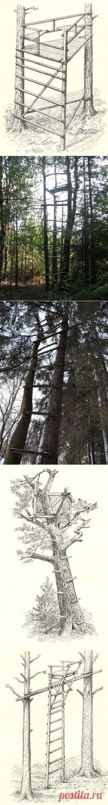 Строительство лабаза