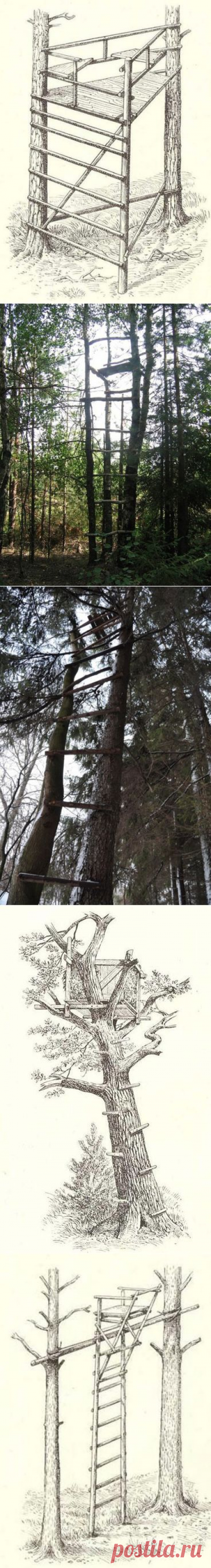 Строительство лабаза