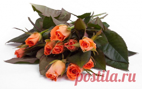 getImage (800×500)