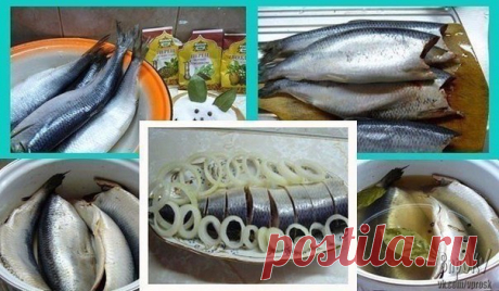 Как засолить селедку 

А какая получается вкуснятина… Больше никогда не покупаю магазинную соленую селедку!
Скажу вам более… этот рецепт великолепно подходит для засолки скумбрии и любой красной рыбы.
Показать полностью…