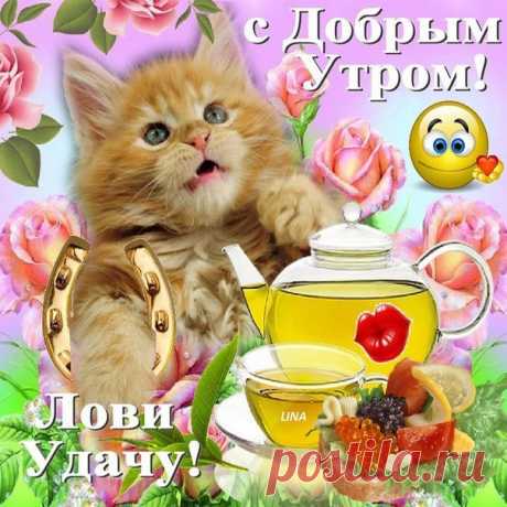 Прикольные открытки с добрым Утром  Анимашки Доброе Утро