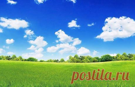 Летние анимированные картинки и яркие красочные фотки