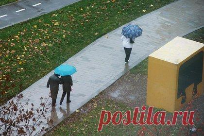 В Москве потеплело