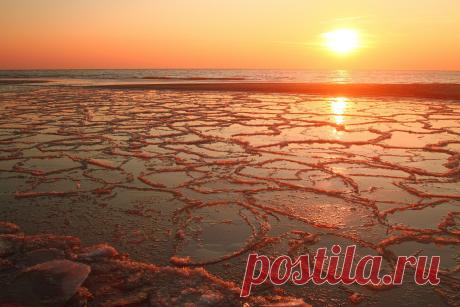 Фото Без названия. Альбом Солнечные фото Леонида Балякина - 50 фото. Фотографии Борис Аргунов.