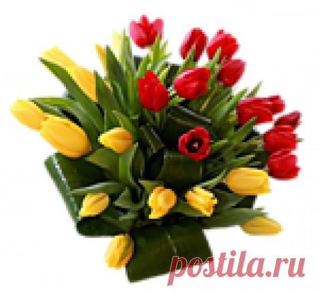 С наступающим праздником! Самые красивые букеты для самых красивых женщин интернета!