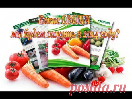 СЕМЕНА: ТОМАТЫ, ОГУРЦЫ, ПЕРЦЫ и др. Какие сорта мы выбрали в 2014 году? - YouTube