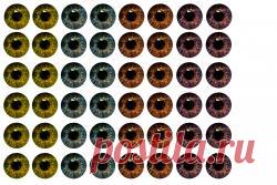 Глазки игрушкам своими руками - Страница 4 - Мордочка-глаза-волосы - Форум почитателей амигуруми (вязаной игрушки)