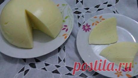 Queijo Manteiga Caseiro: Ele é muito fácil de fazer, econômico e rende muito, além de ser delicioso! - Receitas de Amigas O Queijo Manteiga Caseiro é fácil de fazer, rende muito e fica simplesmente delicioso. … Muito fácil de fazer e você pode preparar receitas doces e salgados com ele. INGREDIENTES 200g de amido de milho 250g de manteiga ou margarina 1 litro de leite 50g de queijo parmesão ralado sal a gosto Se você tem …