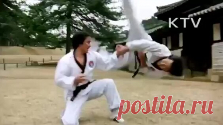 Básico 2 Nippon Kempo KAI 日本拳法 Ниппон кэмпо - поиск Яндекса по видео