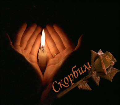 942774ec71ec.gif (389×338)