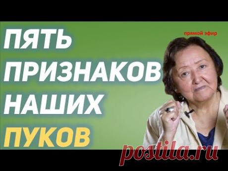 Пять признаков нашего пука