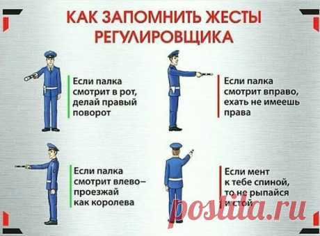 Интересный сайт PulsON — только самые необычные, любопытные и интересные новости в картинках! - Часть 15