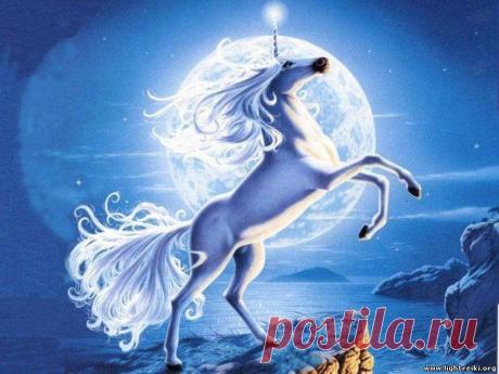 Единорог в Лунном сиянии
