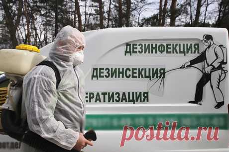Не навреди. Лицензирование услуг дезинсекторов планируют ввести в 2025 году. Законопроект прошел первое чтение.