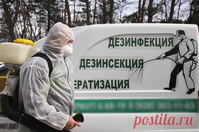 Не навреди. Лицензирование услуг дезинсекторов планируют ввести в 2025 году. Законопроект прошел первое чтение.