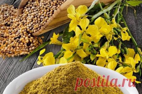 Если слизни – ваш враг номер один, давно и продуктивно портит вашу клубнику, капусту, помидоры, перцы и т.д., не ждите того момента, когда вам вообще ничего не достанется.

Рассыпьте порошок между растениями, к которым плотоядно подползают полчища прожорливых слизняков, и результат ваших трудов – урожай – достанется только вам.

Настой из горчицы – великолепное средство против огневок, пилильщиков, клопов, тли, трипсов, яблоневой плодожорки и других листогрызущих паразитов...