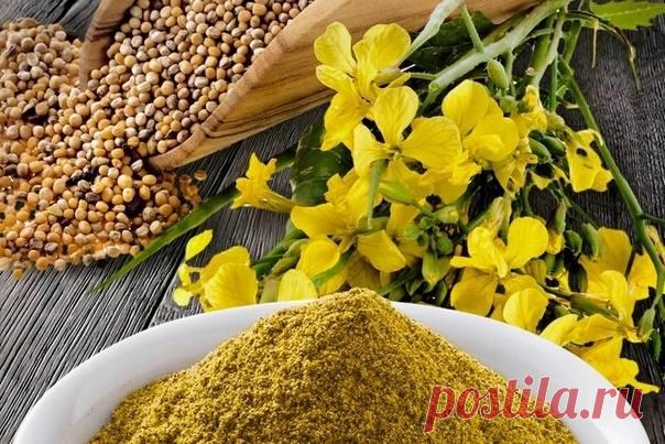 Если слизни – ваш враг номер один, давно и продуктивно портит вашу клубнику, капусту, помидоры, перцы и т.д., не ждите того момента, когда вам вообще ничего не достанется.

Рассыпьте порошок между растениями, к которым плотоядно подползают полчища прожорливых слизняков, и результат ваших трудов – урожай – достанется только вам.

Настой из горчицы – великолепное средство против огневок, пилильщиков, клопов, тли, трипсов, яблоневой плодожорки и других листогрызущих паразитов...