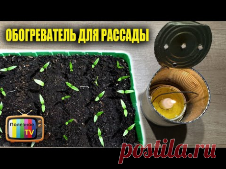 Обогреватель для рассады своими руками! С таким обогревом рассада растет как бешенная!