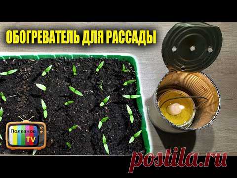 Обогреватель для рассады своими руками! С таким обогревом рассада растет как бешенная!