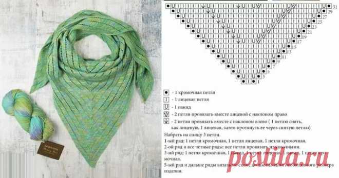Как связать треугольный шарф спицами со схемами. Бактус с кружевной каймой.: 7 тыс изображений найдено в Яндекс.Картинках