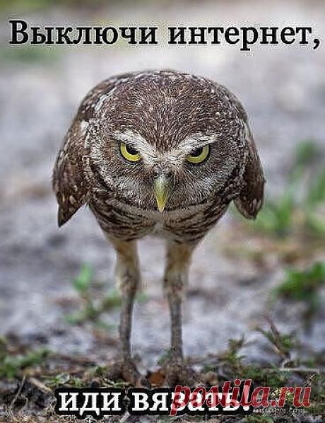 (69) Одноклассники