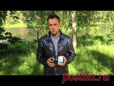 Щелочной баланс организма.