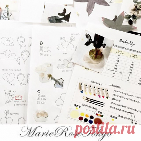 marie_rose_tokyo • View Yoko Asai🌺 ( @marie_rose_tokyo )'s Instagram Account