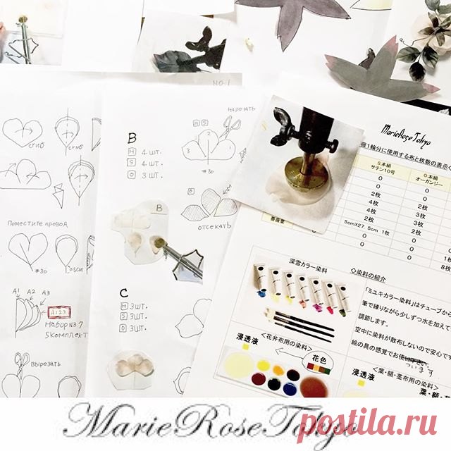 marie_rose_tokyo • View Yoko Asai🌺 ( @marie_rose_tokyo )'s Instagram Account