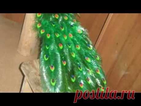 Павлин из пластиковых бутылок своими руками. Мастер-класс.