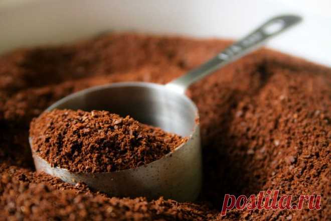 15 способов экологичного использования кофейной гущи