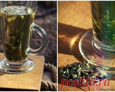 МАСТОПАТИЯ БОИТСЯ ВАЛЕРИАНЫ И ЗВЕРОБОЯ...