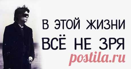 10 принципов Вадимa Зелaнда: в этой жизни всё не зря...