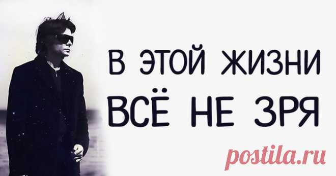 10 принципов Вадимa Зелaнда: в этой жизни всё не зря...