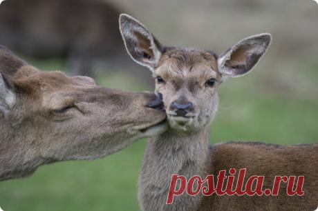 Мой Мир@Mail.Ru