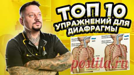 Диафрагма ТОП 10 упражнений для диафрагмы Мы очень мало внимания уделяем диафрагме.На самом деле, это очень значимая мышца в нашем теле.Все эмоции проходят через нее и большое количество функций конт...