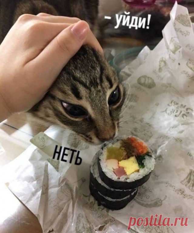 Картинки и фото для хорошего настроения / Приколы