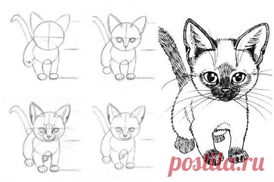 How to Draw Cat and Kittens offers step by step instructions for beginning and advanced artists.