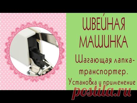 Новое видео на моем канале #youtube
https://www.youtube.com/watch?v=DLiz5z3KPJM 
Как установить лапку-транспортер, или шагающую лапку, на швейную машинку, для чего она нужна и как ее использовать
Мы с девочками сейчас шьем собачек в совместном пошиве, а при работа с толстыми мягкими тканями такая лапка незаменима.
Вы еще можете присоединиться к пошиву по сниженной цене https://seva.monecle.com/lp/zhuravskaya 
Мы только начали
#видеоютуб@mk.kukli.tilda #татьянажуравская #тил...