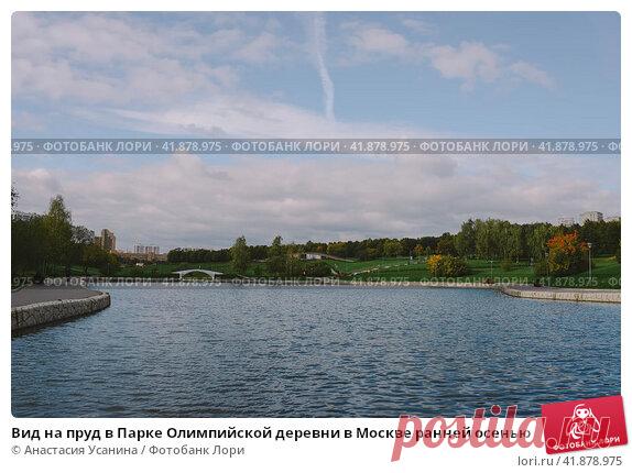 Вид на пруд в Парке Олимпийской деревни в Москве ранней осенью (2016 год) Редакционное фото, фотограф Анастасия Усанина / Фотобанк Лори