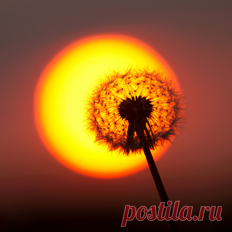 красота