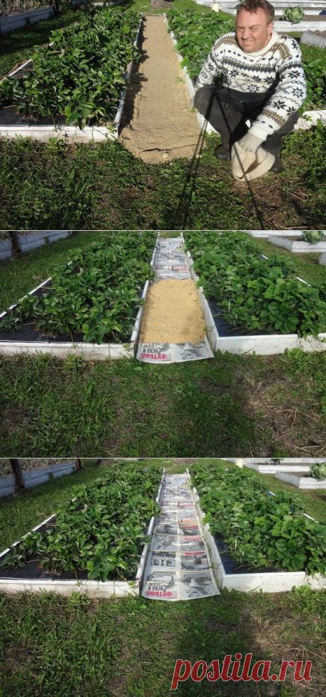 КАК СДЕЛАТЬ ЧТОБЫ В ПРОХОДАХ МЕЖДУ ГРЯДКАМИ ТРАВА НЕ РОСЛА | Хитрости Жизни