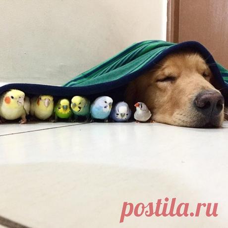 15 кадров, от которых веет счастьем / Всё самое лучшее из интернета