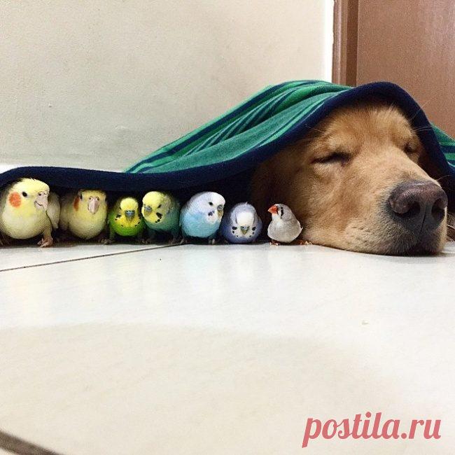 15 кадров, от которых веет счастьем / Всё самое лучшее из интернета